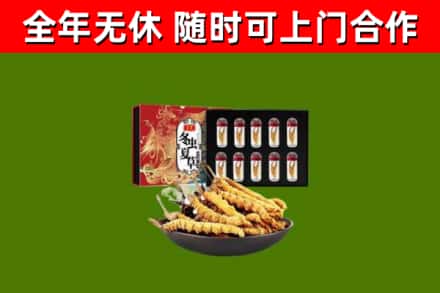 海伦回收冬虫夏草价格